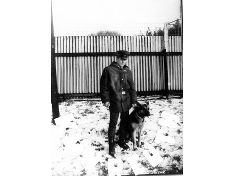 Foto 14